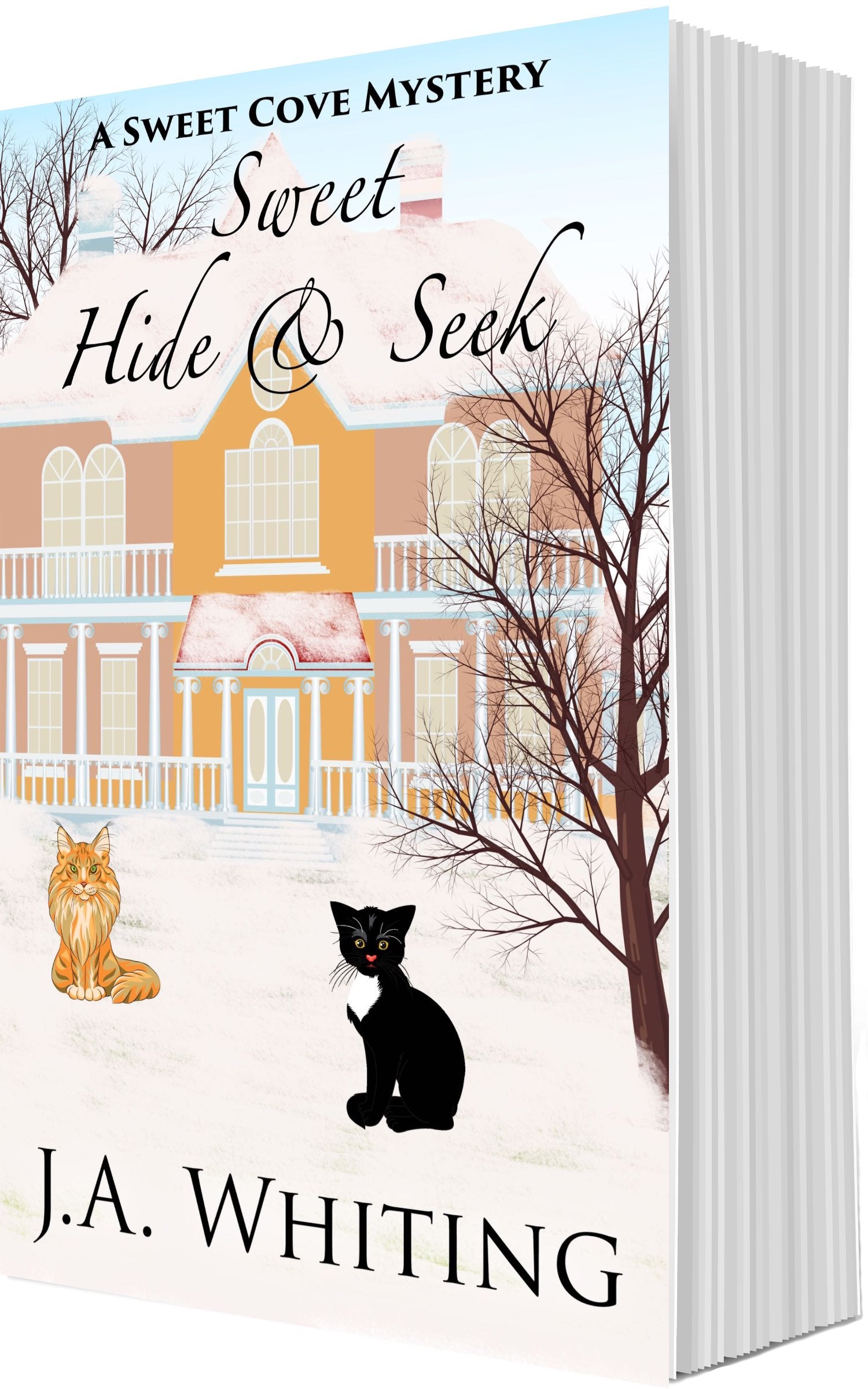 Sweet Hide and Seek (PAPERBACK #9) – J A Whiting Books and More